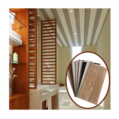 Painel de teto em PVC Techo PVC